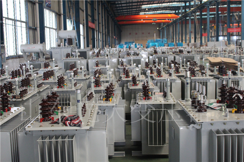 陇县S22-800KVA/10KV油浸式变压器